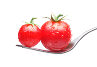 Le Basi della Dieta