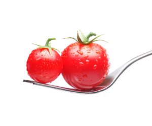 Le Basi della Dieta