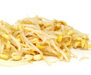 Integratori Naturali in Caso di Dieta Vegetariana