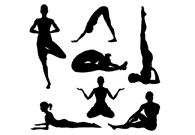 Posizioni dello Yoga: Le Asana